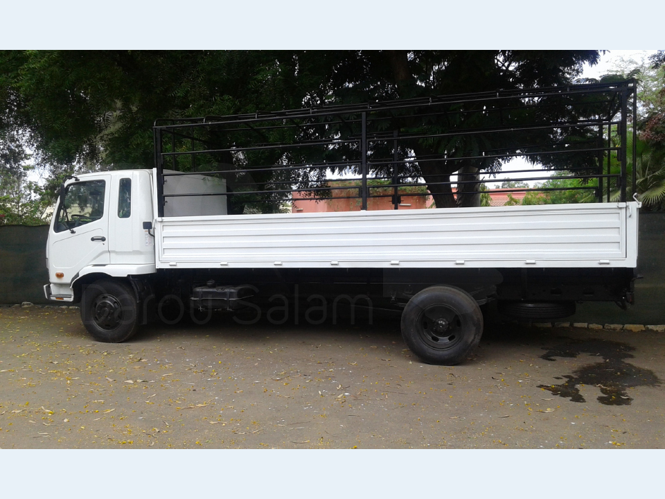 Camion 17