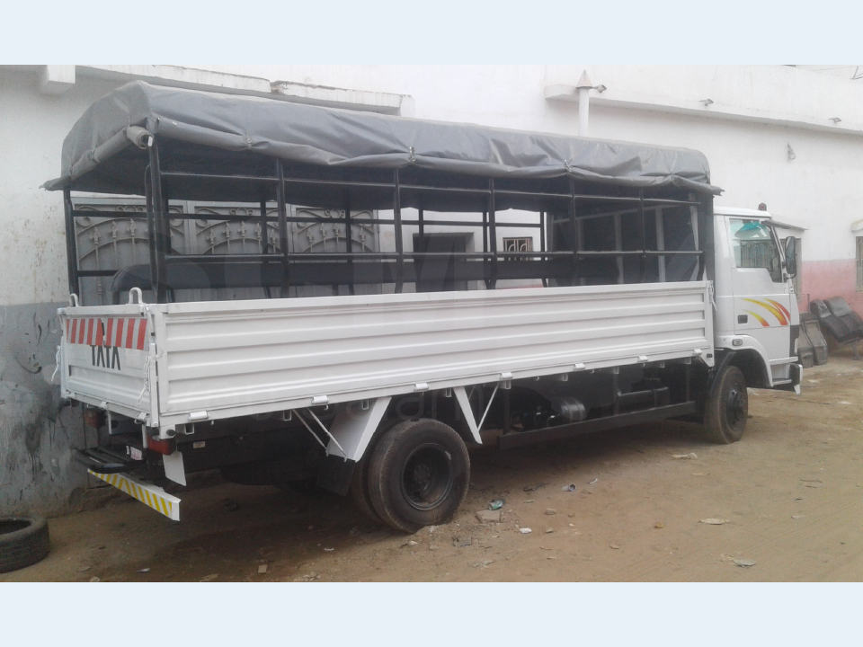 Camion 19