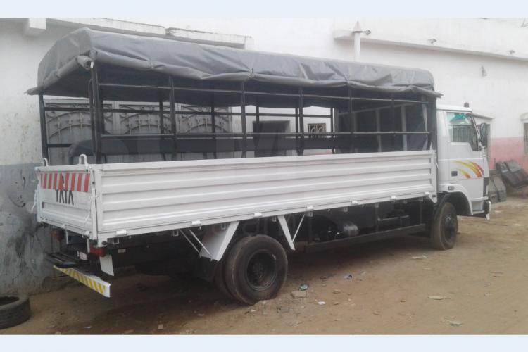 Camion 19